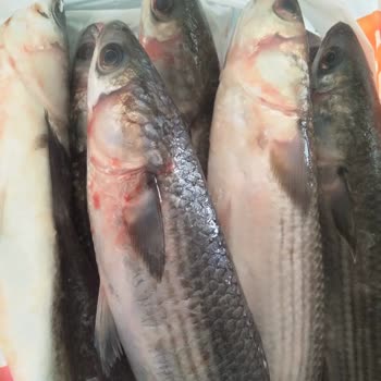 Balık Temizleme Hizmetinde Eksiklik Ve Personel Tavrı