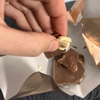 Kurtlu Çikolata Şoku