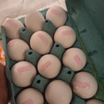 Kırık Yumurtalar Ve İade Sorunu