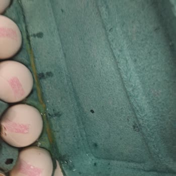 Kırık Yumurtalar Ve İade Sorunu