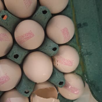 Kırık Yumurtalar Ve İade Sorunu