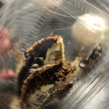 Factory Karaköy Ürünler Bayat Ve Ekşi Ekşi Kokuyor