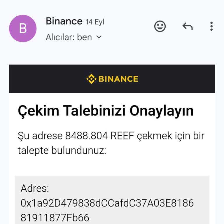 Reef Coin Aktarımında Kayıp Ve Destek Sorunları