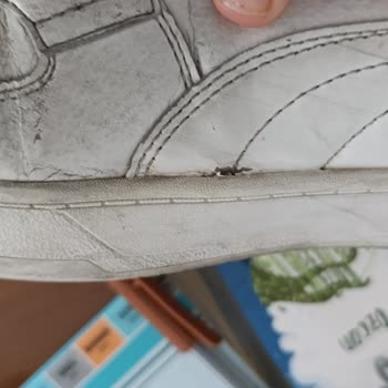 Puma Ayakkabının Beklenmedik Hasarı