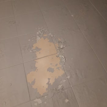 Ürün Kalitesi Ve Müşteri Hizmetleri Hayal Kırıklığı