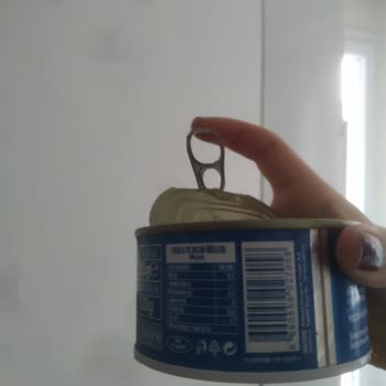 Bozuk Ton Balığı: Sağlığımı Tehlikeye Attı