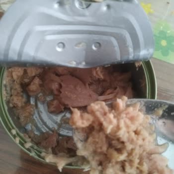 Bozuk Ton Balığı: Sağlığımı Tehlikeye Attı