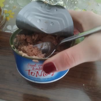 Bozuk Ton Balığı: Sağlığımı Tehlikeye Attı