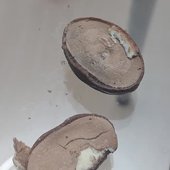 Bayat Çikolata Hayal Kırıklığı