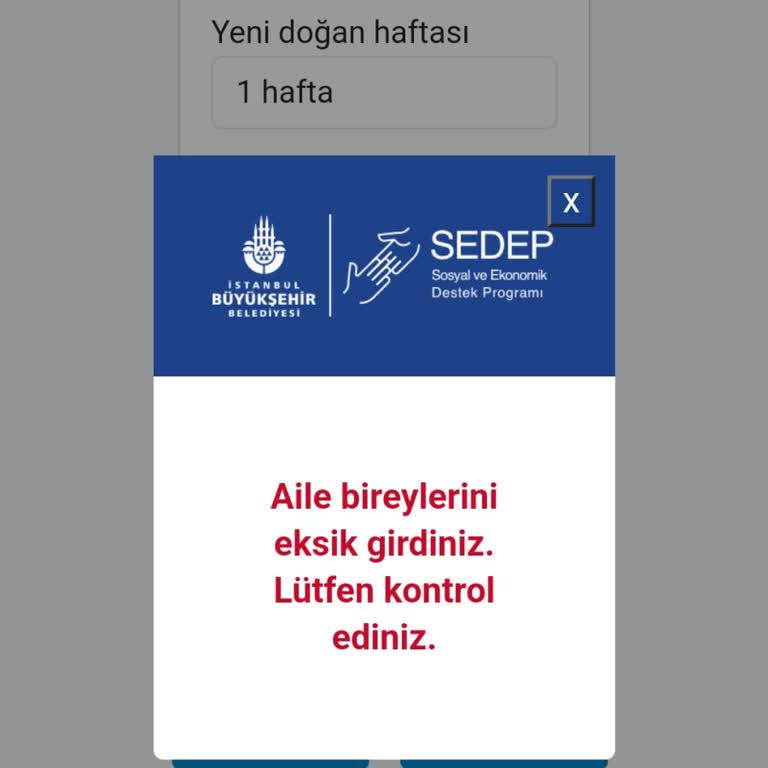 Yenidoğan Yardım Başvurusu Hatası: Eksik Aile Bilgisi Uyarısı