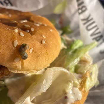 KFC Antalya'da Hijyen Sorunu