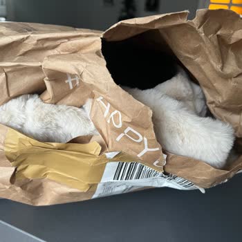 Geç Teslimat Ve Yetersiz Paketleme Sorunu