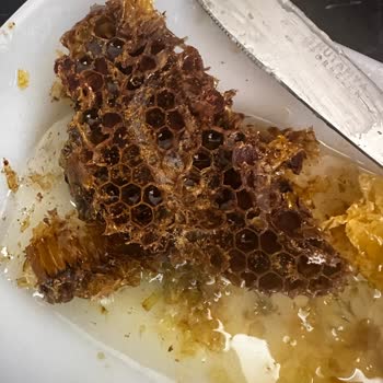 Güve Larvalı Bal Ve İlgisiz Satıcı