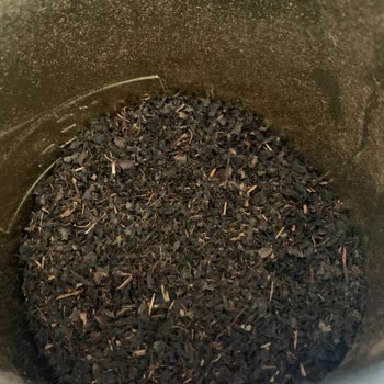 BİM'den Aldığım Çayın İçinden Taş Ve Çöp Çıktı