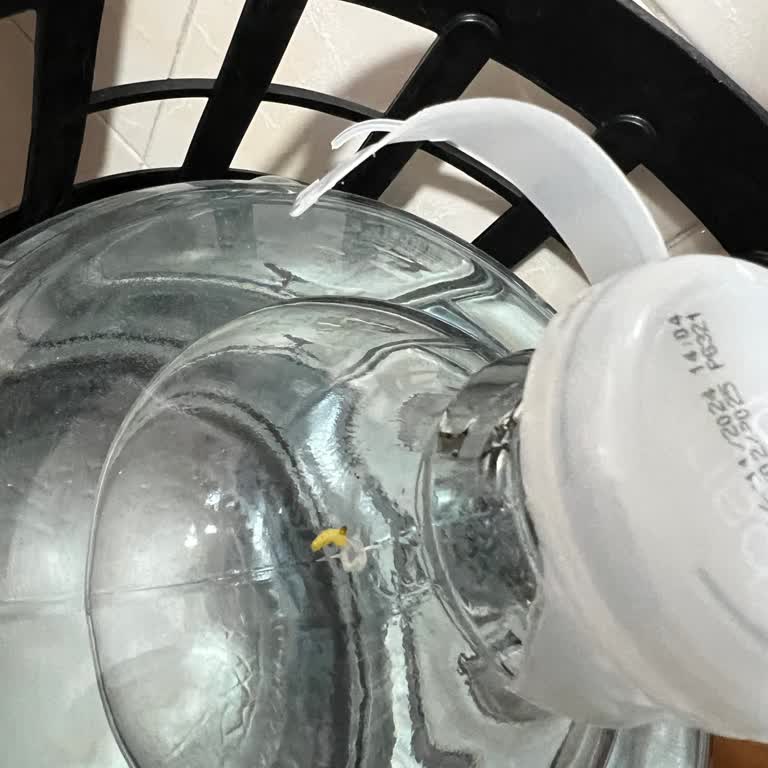 Abant Su Cam Damacanalarda Hijyen Sorunu