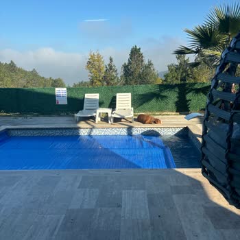 Havuz Keyfi Hüsranla Sonuçlandı