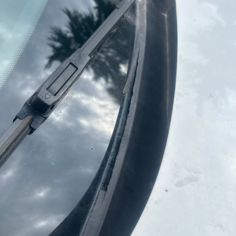 Renault Megane 3 Ön Cam Sorunu