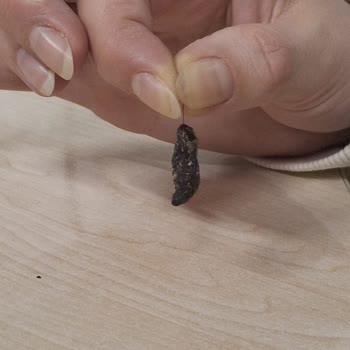 Karışık Kuruyemişte İstenmeyen Sürpriz