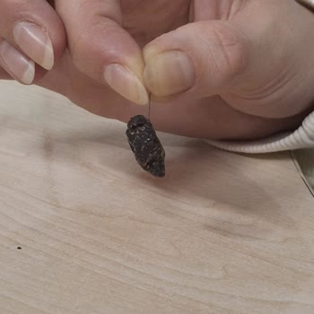 Karışık Kuruyemişte İstenmeyen Sürpriz