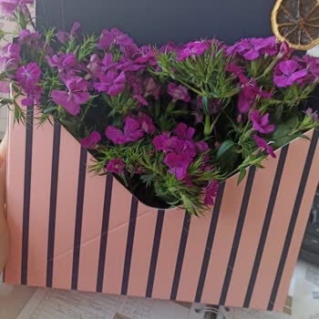 Hayal Kırıklığı Yaratan Çiçek Aranjmanı