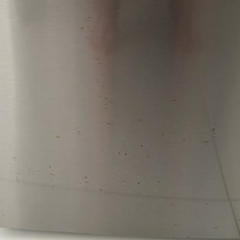 Bosch Buzdolabında Paslanma Sorunu: Güven Kaybı