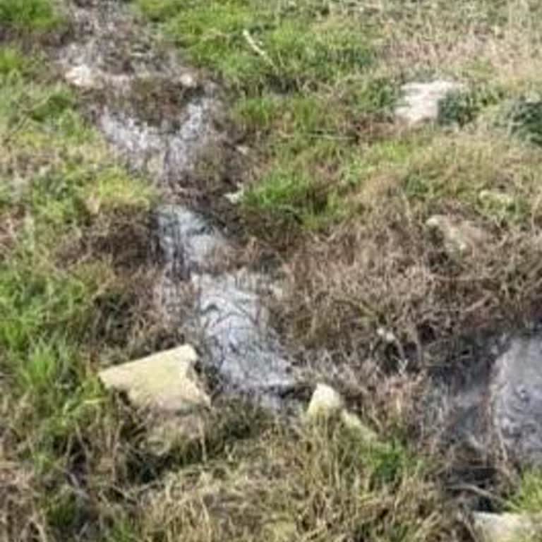 Foseptik Sorunu: Sağlığımız Tehlikede!