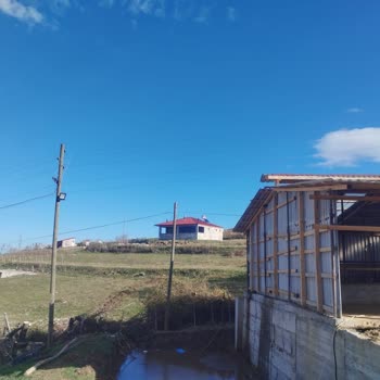 Enerji Tabii Kaynaklar Bakanlığı Elektrik Hatları Tehlike Saçıyor!