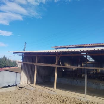 Enerji Tabii Kaynaklar Bakanlığı Elektrik Hatları Tehlike Saçıyor!