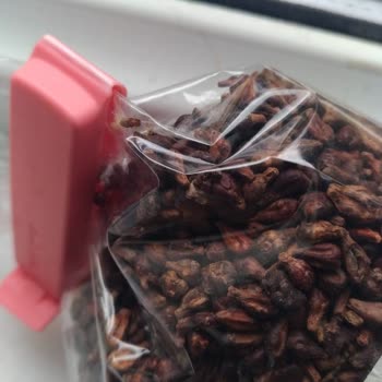 Kuruyemişte Kurt Ve Böcek Sorunu