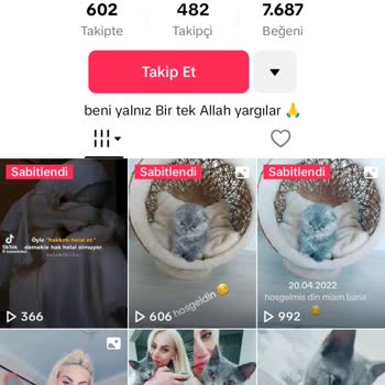 Çalınan Facebook Hesabı Yüzünden TikTok'a Erişim Sorunu