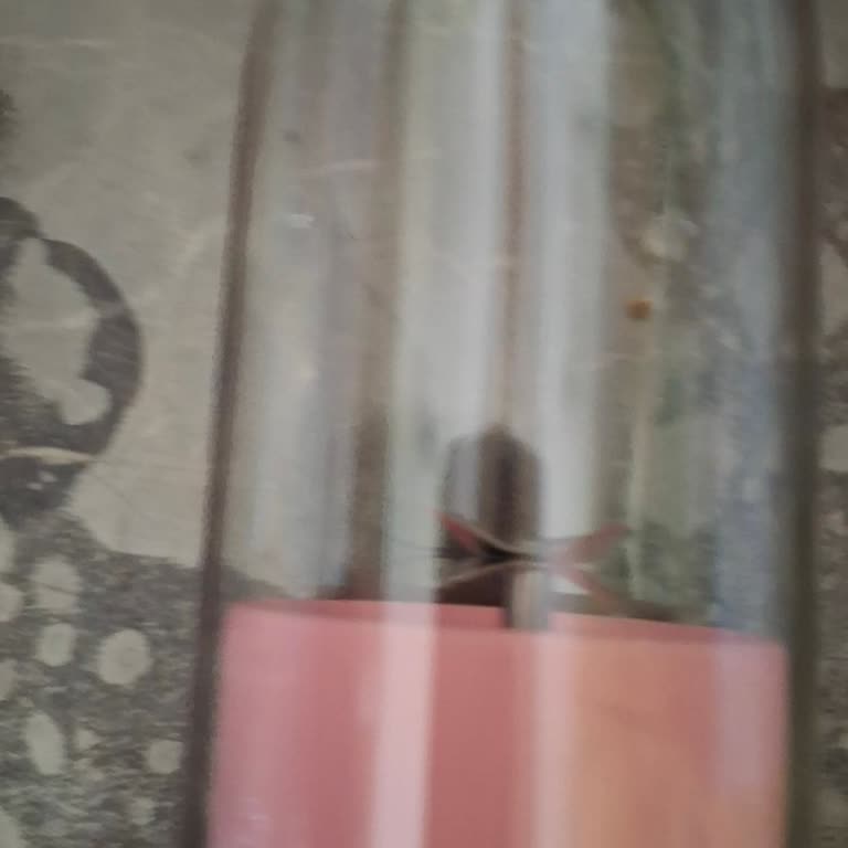 Hayal Kırıklığı Yaratan Blender