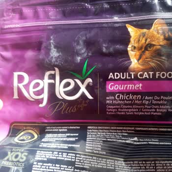 SKT Silinmiş Kedi Maması Şoku