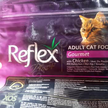 Silinmiş SKT İle Gelen Kedi Maması Şoku