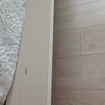 Hevin Mobilya'da Hayal Kırıklığı