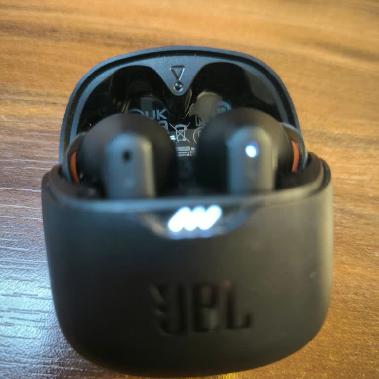 JBL Tune Flex Kulaklık Şarj Ve Çalışmama Problemi