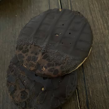 Küflü Bisküvilerle Sağlık Tehlikesi