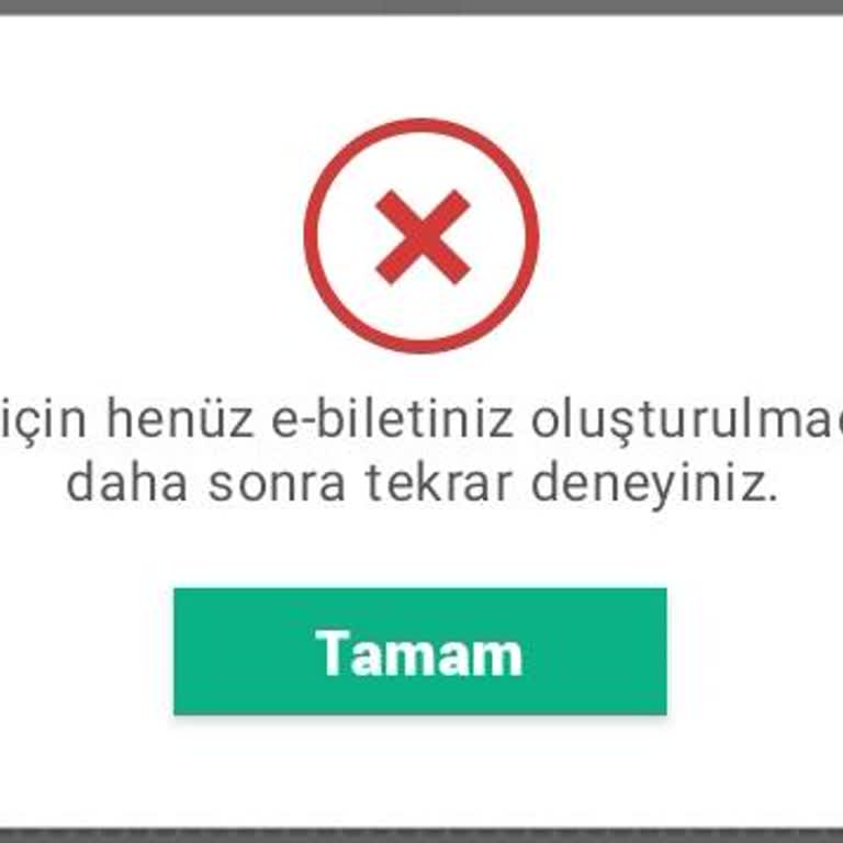 E-bilet İndirme Sorunu Ve Yanıltıcı Link Yönlendirmesi