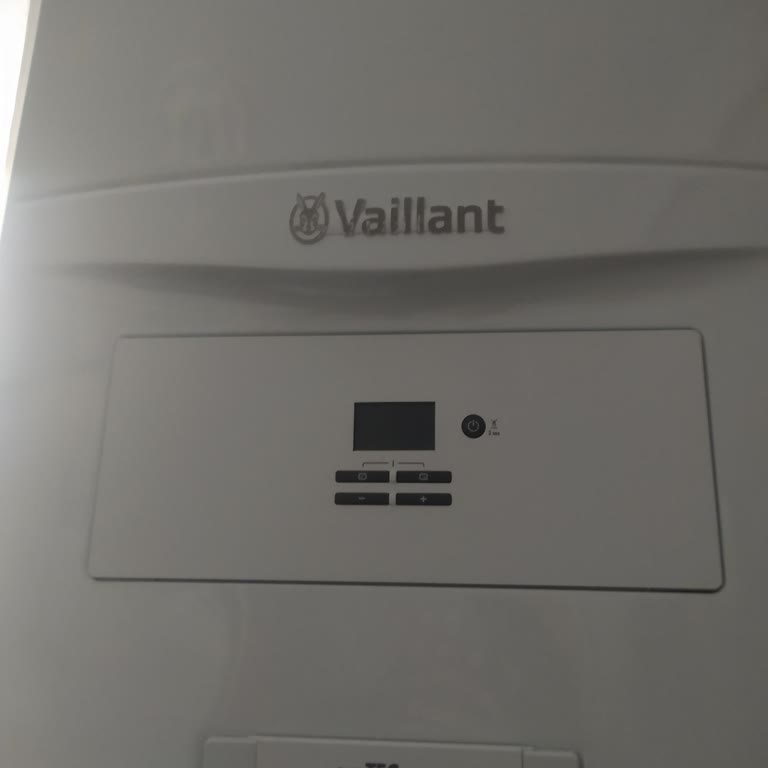 Vaillant Parça Değişimi Ve İletişim Sorunu
