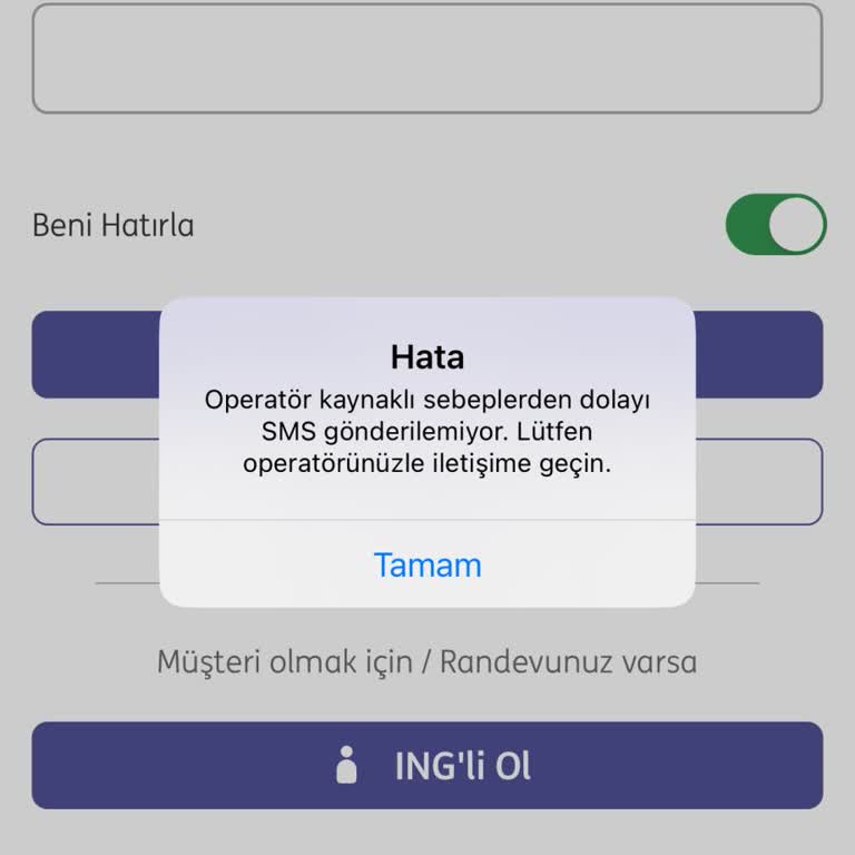 Mobil Giriş Sorunu Ve Şube Eksikliği