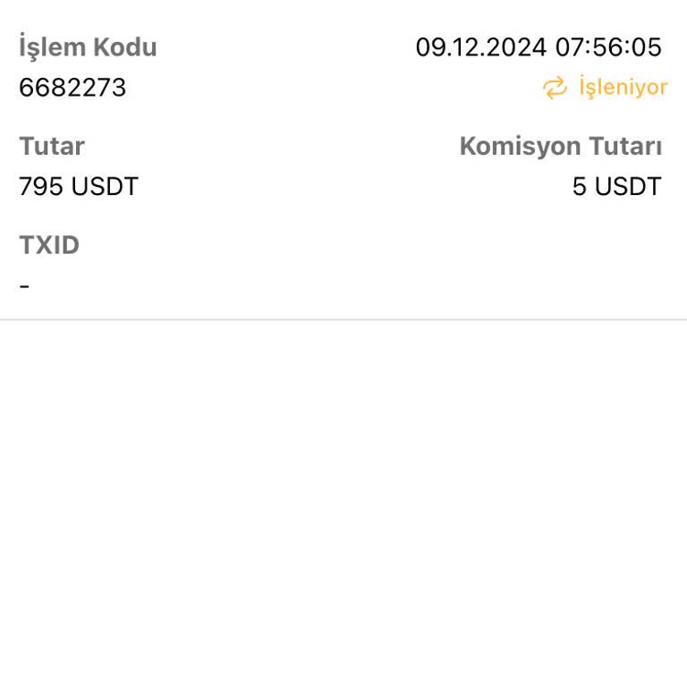 Bitci Borsasında USDT Çekim Gecikmeleri Ve Yetersiz Destek