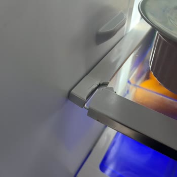 Arçelik Ürün Kalitesi Ve Garanti Sorunları