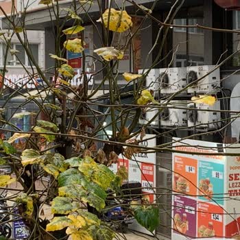 Popeyes Şubesinin Klima Motorları Uykularımı Kaçırıyor