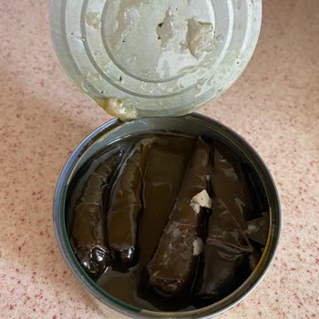 Burcu Gıda Bozuk Ürün Sorunu: Yaprak Sarması!