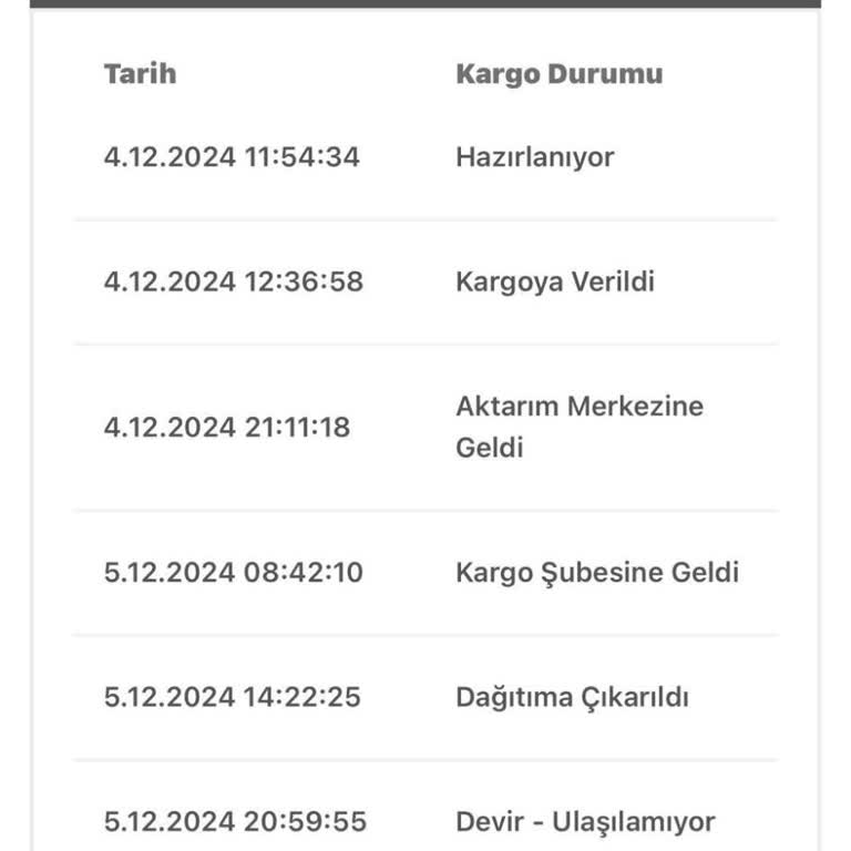 Massimo'da Kargo Kabusu: Kaplumbağa Hızında Teslimat
