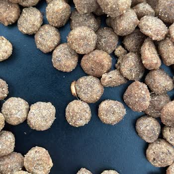 Bozuk Kedi Maması Ve Yetersiz Müşteri Hizmeti