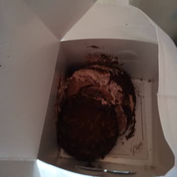 Devrilmiş Pasta Ve Ulaşılmaz Müşteri Hizmetleri