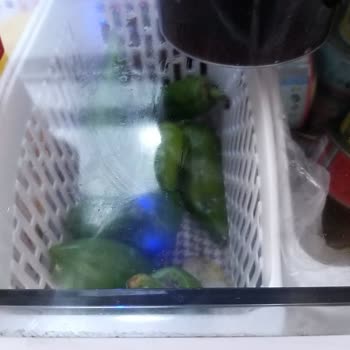 Arçelik Buzdolabı Sebzelikte Terleme Ve Paslanma Sorunu