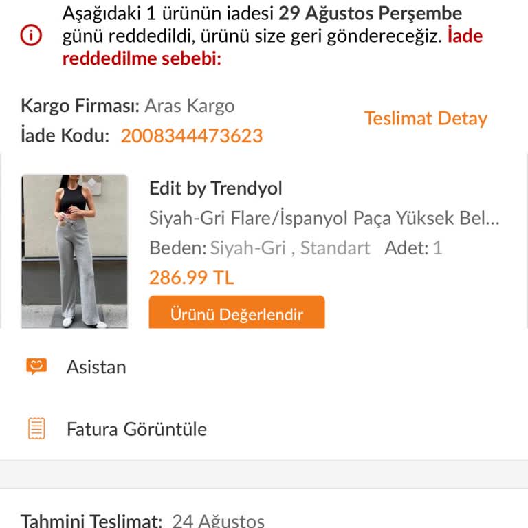 Desi Belgesi Almak İçin Yaşadığım Zorluklar