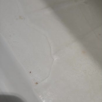 Bosch Buzdolabı Ve Bitmeyen Termostat Sorunu