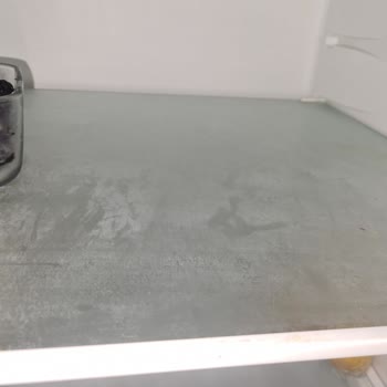 Bosch Buzdolabı Ve Bitmeyen Termostat Sorunu